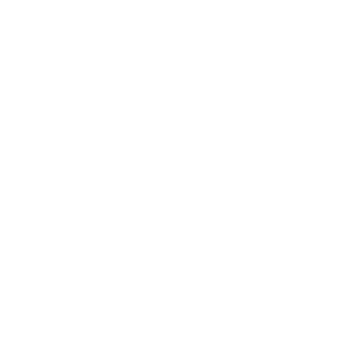 logo-2