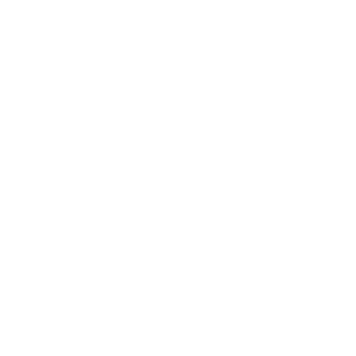 bowl-icon